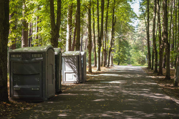 Best Porta potty rental for parties  in Hampton, IL